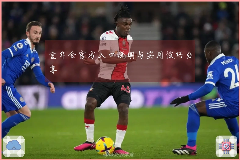 金年会官方入口说明与实用技巧分享