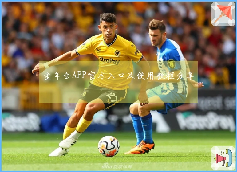 金年会APP官方入口及使用教程分享