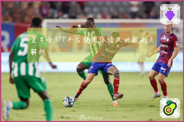 金年会APP平台使用体验及功能亮点解析